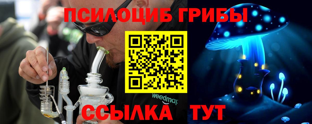 Псилоцибиновые грибы прущие грибы Россия